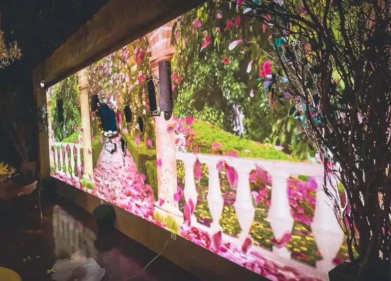 Paris - Mapping Casamento 2